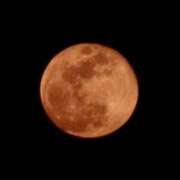 ヒメ日記 2026/02/03 08:18 投稿 あおい クラブA