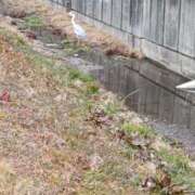 ヒメ日記 2026/02/10 22:18 投稿 あおい クラブA