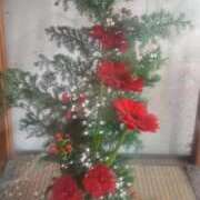 ヒメ日記 2025/12/12 09:47 投稿 安西 ダイヤモンドクラブ