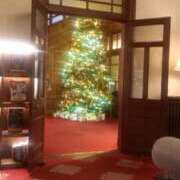 ヒメ日記 2025/12/29 10:57 投稿 安西 ダイヤモンドクラブ