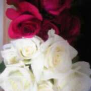 ヒメ日記 2026/01/15 10:27 投稿 安西 ダイヤモンドクラブ