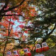 ヒメ日記 2025/11/20 23:23 投稿 まお【性感】 性感エステBianca豊中店