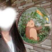 ヒメ日記 2025/11/08 12:00 投稿 田中あつこ セカンドパートナー