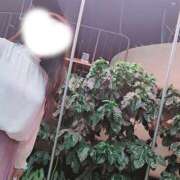 ヒメ日記 2025/11/11 11:00 投稿 田中あつこ セカンドパートナー