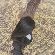 ヒメ日記 2025/11/16 13:40 投稿 田中あつこ セカンドパートナー