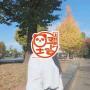 ヒメ日記 2025/11/16 16:15 投稿 田中あつこ セカンドパートナー