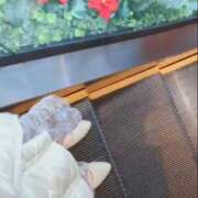 ヒメ日記 2025/12/11 12:00 投稿 田中あつこ セカンドパートナー