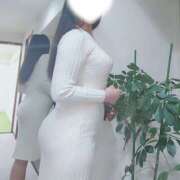 ヒメ日記 2025/12/15 06:00 投稿 田中あつこ セカンドパートナー