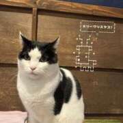 ヒメ日記 2025/12/25 19:39 投稿 ゆいか アイドルドリーム