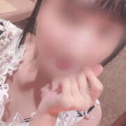 ヒメ日記 2025/11/12 13:03 投稿 うさぎ ハピネス札幌