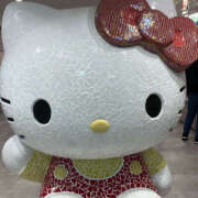 ヒメ日記 2025/11/16 11:03 投稿 うさぎ ハピネス札幌