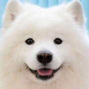 ヒメ日記 2025/11/21 20:37 投稿 うさぎ ハピネス札幌