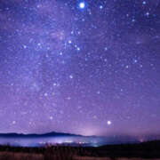 ヒメ日記 2025/12/13 13:23 投稿 うさぎ ハピネス札幌