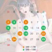 ヒメ日記 2025/11/10 20:07 投稿 ぴいち 無敵YOKOHAMA