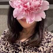 ヒメ日記 2025/10/19 11:36 投稿 若林とうこ セカンドパートナー