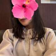 ヒメ日記 2025/11/01 19:15 投稿 若林とうこ セカンドパートナー