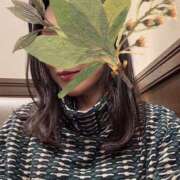 ヒメ日記 2025/11/06 13:44 投稿 若林とうこ セカンドパートナー