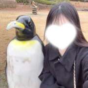 ゆうな 一緒に? 横浜コスプレデビュー（シンデレラグループ）