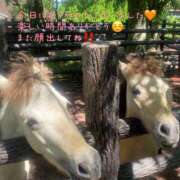 ヒメ日記 2025/10/28 23:05 投稿 麻友(まゆ) 高知デリヘル倶楽部 人妻熟女専門店