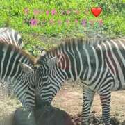 ヒメ日記 2025/10/28 23:12 投稿 麻友(まゆ) 高知デリヘル倶楽部 人妻熟女専門店