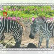 ヒメ日記 2025/11/05 23:49 投稿 麻友(まゆ) 高知デリヘル倶楽部 人妻熟女専門店