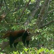 ヒメ日記 2025/11/11 16:21 投稿 麻友(まゆ) 高知デリヘル倶楽部 人妻熟女専門店