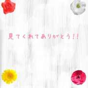 ヒメ日記 2025/11/24 11:39 投稿 麻友(まゆ) 高知デリヘル倶楽部 人妻熟女専門店