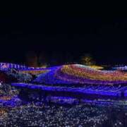 ヒメ日記 2025/12/17 20:49 投稿 麻友(まゆ) 高知デリヘル倶楽部 人妻熟女専門店