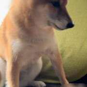 麻友(まゆ) おはようございます☂️ 高知デリヘル倶楽部 人妻熟女専門店