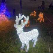 ヒメ日記 2026/03/11 11:10 投稿 麻友(まゆ) 高知デリヘル倶楽部 人妻熟女専門店