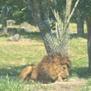 ヒメ日記 2026/03/31 14:48 投稿 麻友(まゆ) 高知デリヘル倶楽部 人妻熟女専門店