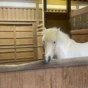 ヒメ日記 2026/04/01 08:25 投稿 麻友(まゆ) 高知デリヘル倶楽部 人妻熟女専門店