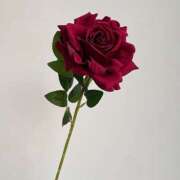 ヒメ日記 2025/10/08 16:56 投稿 守屋 はるき 30代40代50代と遊ぶなら博多人妻専科24時