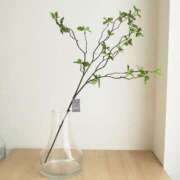 ヒメ日記 2025/10/21 06:14 投稿 守屋 はるき 30代40代50代と遊ぶなら博多人妻専科24時