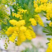 ヒメ日記 2025/10/21 18:45 投稿 守屋 はるき 30代40代50代と遊ぶなら博多人妻専科24時