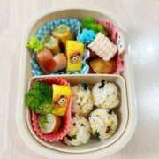 ヒメ日記 2025/11/20 06:45 投稿 守屋 はるき 30代40代50代と遊ぶなら博多人妻専科24時