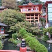 ヒメ日記 2025/12/19 16:15 投稿 守屋 はるき 30代40代50代と遊ぶなら博多人妻専科24時