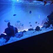 ヒメ日記 2026/01/07 07:36 投稿 守屋 はるき 30代40代50代と遊ぶなら博多人妻専科24時