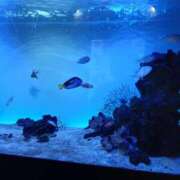 ヒメ日記 2026/02/09 00:42 投稿 守屋 はるき 30代40代50代と遊ぶなら博多人妻専科24時