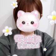 ヒメ日記 2026/02/19 22:35 投稿 守屋 はるき 30代40代50代と遊ぶなら博多人妻専科24時