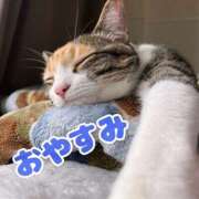 ヒメ日記 2026/02/24 23:51 投稿 守屋 はるき 30代40代50代と遊ぶなら博多人妻専科24時