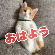 ヒメ日記 2026/02/25 05:46 投稿 守屋 はるき 30代40代50代と遊ぶなら博多人妻専科24時