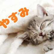 ヒメ日記 2026/02/26 00:24 投稿 守屋 はるき 30代40代50代と遊ぶなら博多人妻専科24時