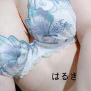 ヒメ日記 2026/03/06 19:01 投稿 守屋 はるき 30代40代50代と遊ぶなら博多人妻専科24時