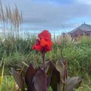 ヒメ日記 2025/10/19 11:23 投稿 せいな ちゃんこ本厚木店