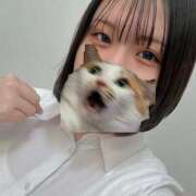 ヒメ日記 2025/12/06 18:30 投稿 せいな ちゃんこ本厚木店