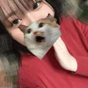 ヒメ日記 2026/01/05 00:00 投稿 せいな ちゃんこ本厚木店