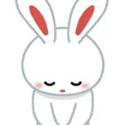 あまね 本日 11チャンネル