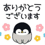 ヒメ日記 2025/10/09 01:42 投稿 おと バッドカンパニー水戸