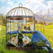 ヒメ日記 2025/10/28 11:00 投稿 こなつ モアグループ小山人妻花壇